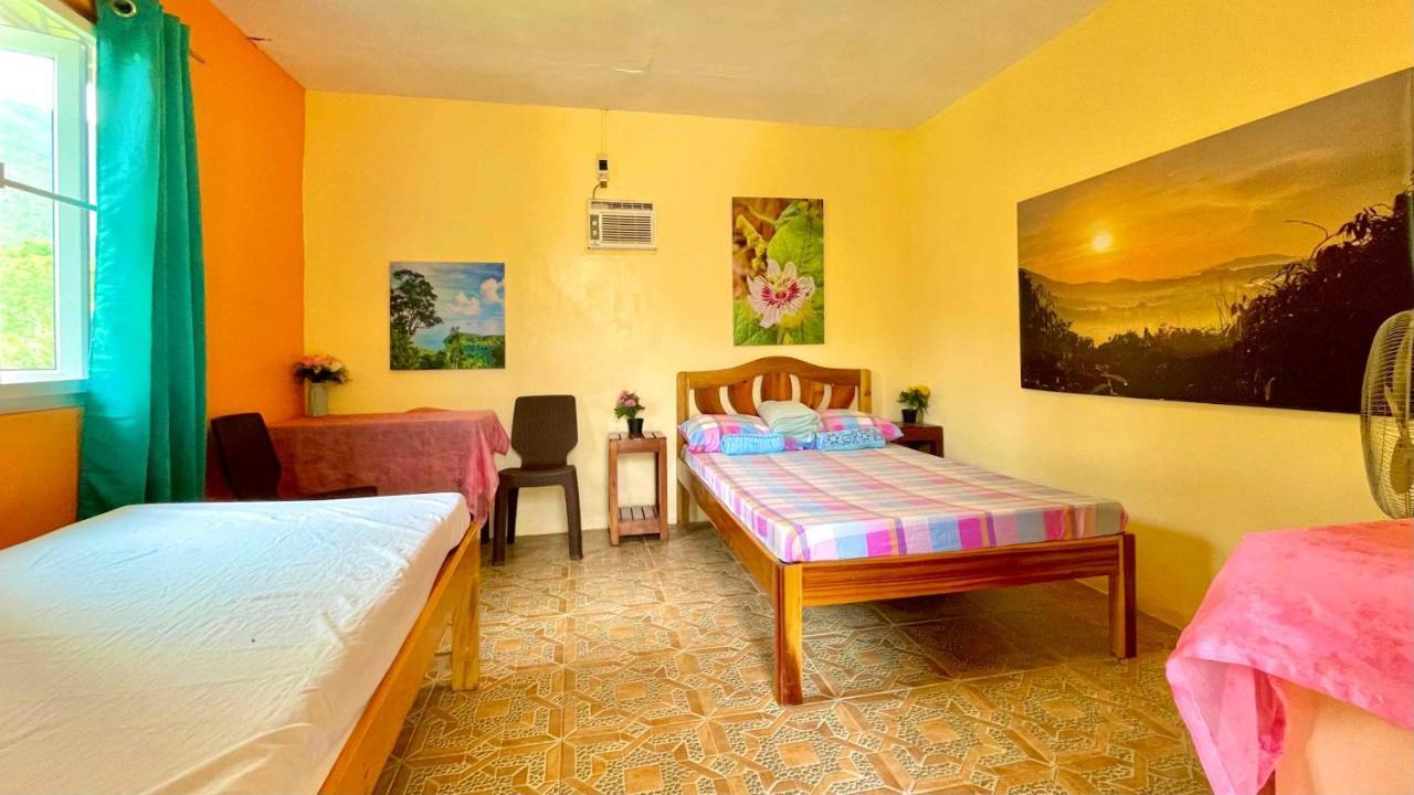 Blue Moon Guesthouse Puerto Princesa Luaran gambar