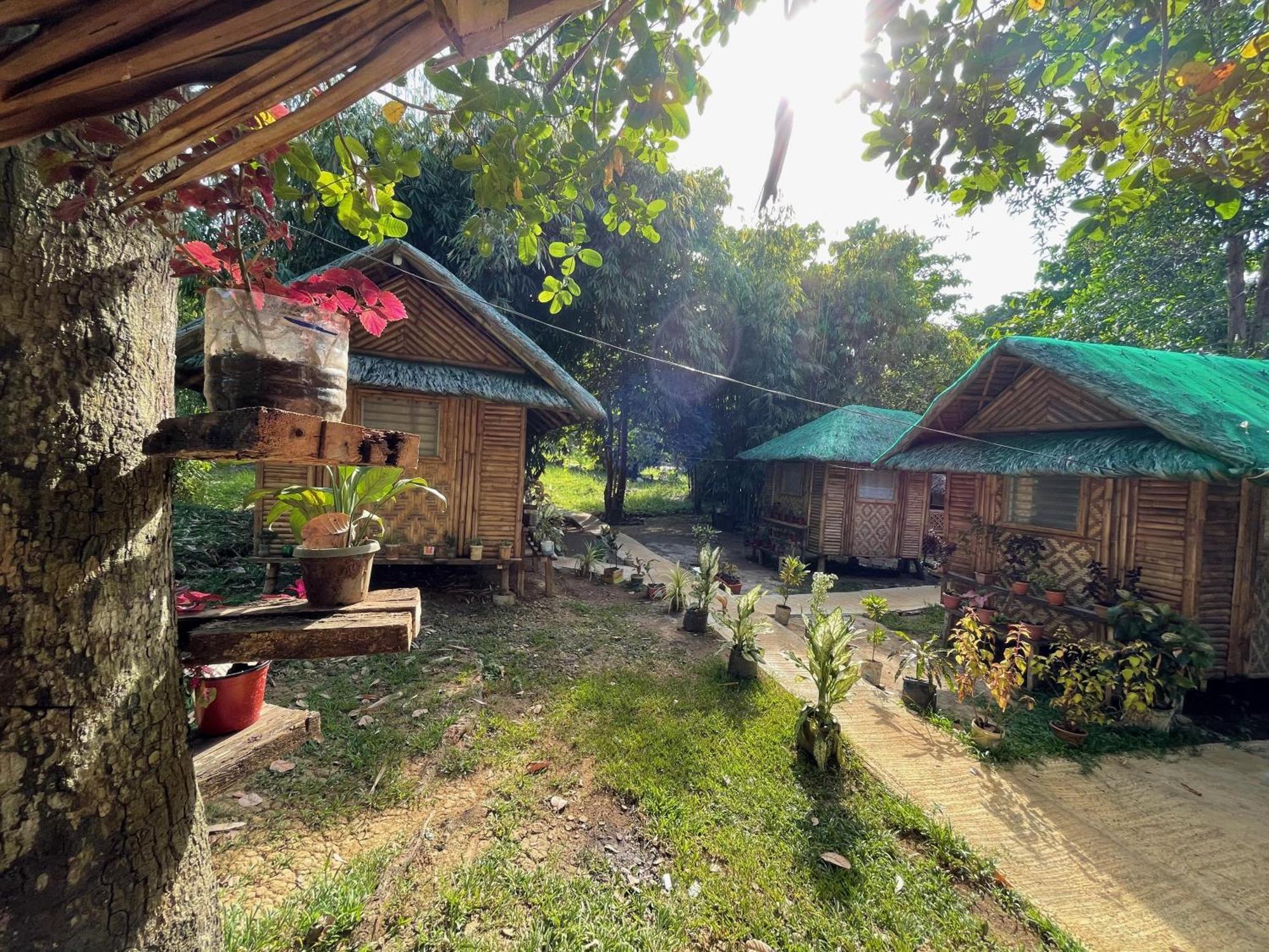 Blue Moon Guesthouse Puerto Princesa Luaran gambar