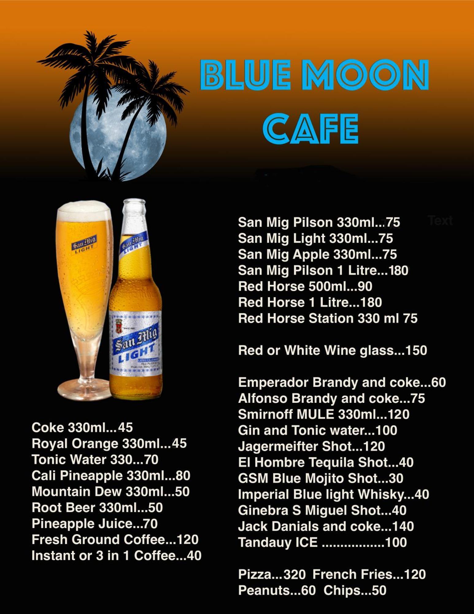 Blue Moon Guesthouse Puerto Princesa Luaran gambar