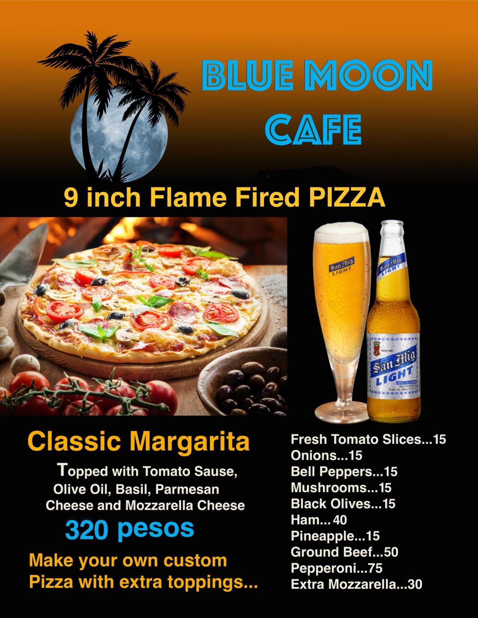 Blue Moon Guesthouse Puerto Princesa Luaran gambar